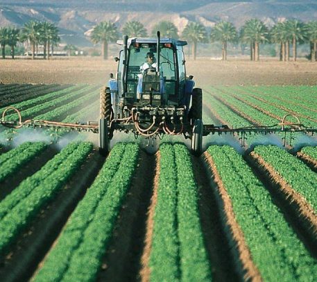producción agropecuaria